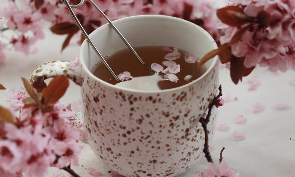 A calming cup of tea surrounded by delicate cherry blossoms, evoking spring's gentle essence.