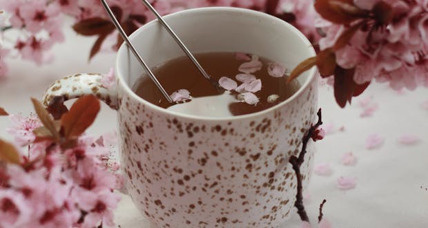 A calming cup of tea surrounded by delicate cherry blossoms, evoking spring's gentle essence.